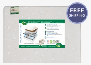 Buy Online - Mattress: Serta Nightstar Comfort Mattress - Blue