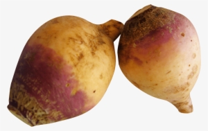 Vegetables - Rutabagas Png