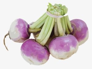Turnip 2 - Turnip