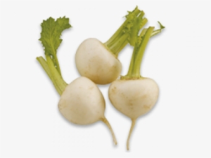 Turnips - Leaf Vegetable