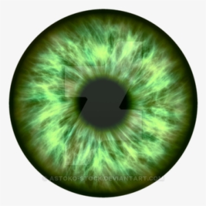 Eyeball Png Free Download On Mbtskoudsalg Svg Black - Blue Eye Transparent