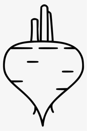 Beet Beetroot Turnip Comments - Beetroot