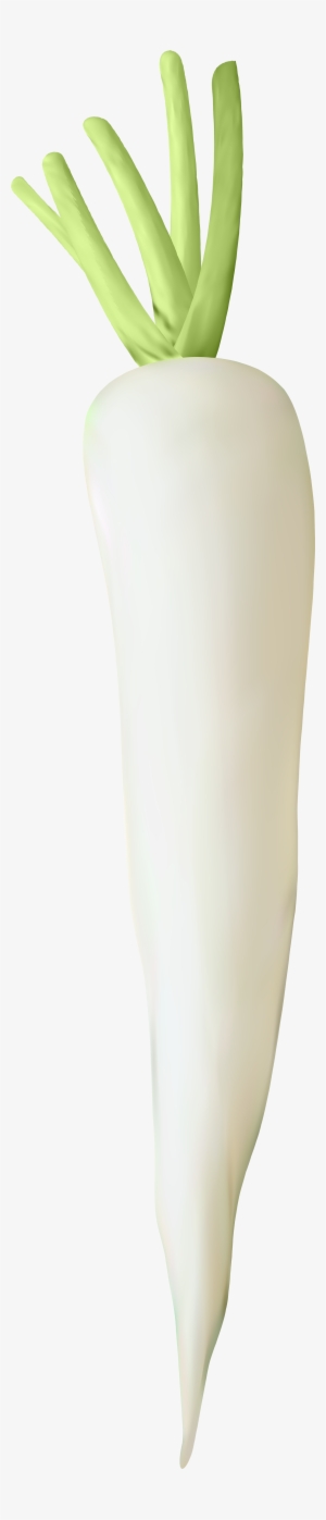 View Full Size - Tights