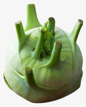530 X 634 - Vegetable