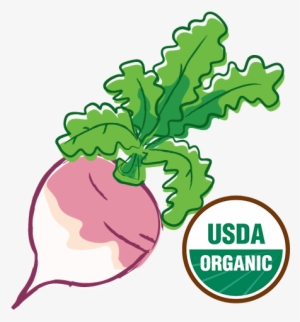 Organic-turnip