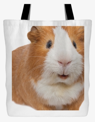 Guinea Pig Tote Bag - Guinea Pig Destiny 2