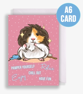 Longhaired Guinea Pig Being Pampered Birthday & Other - Guinea Pig