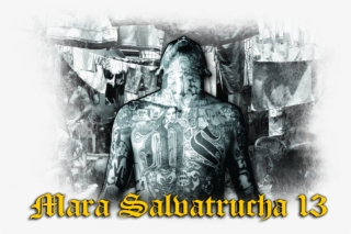 Nesto Mnogu Staro - Ms 13 Samp