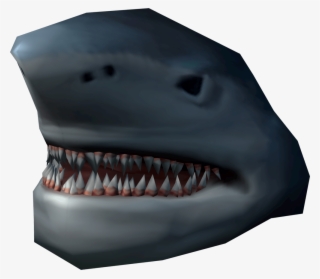 Shark Head Runescape Wiki Fandom Powered Wikia - Tiger Shark