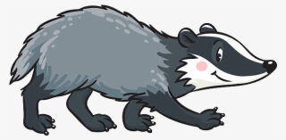 Badger Clipart