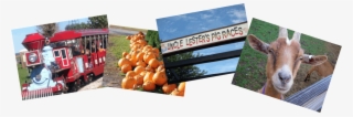Signage