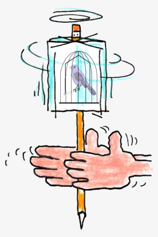 Spinning Illusions - Spinning Bird Illusion