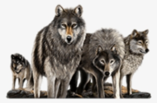 Wolf Sticker