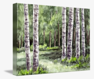 Birch Tree Watercolor Landscape - Watercolor Painting