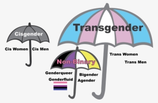 A Depiction Of The Transgender Umbrella - Short Haircuts For Genderfluid
