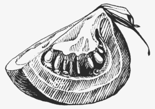 Drawing Vegetable Cherry Tomatosketch - Vegetable Sketch Png