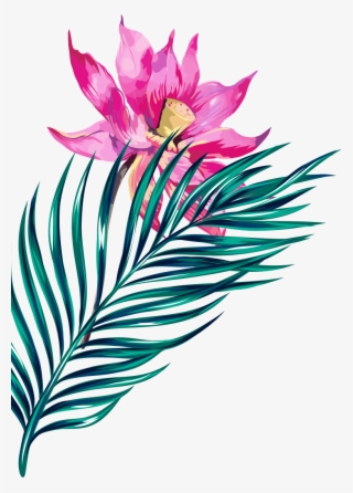 Water Lily
