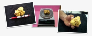 Gold Nugget Found With Gpx - French Fries