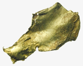 Rhode Island Creek, Manley Hot Springs, Gold Nugget - Fish