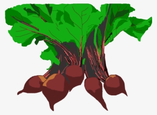 Free Vegetable Garden Clip Art - Beet Greens