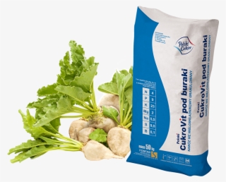 Exclusive Distributor - - Sugar Beet