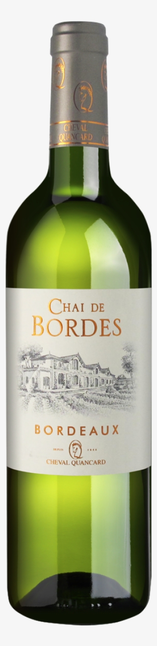 Download - Glass Bottle