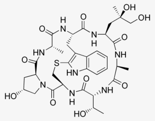 Phalloidin
