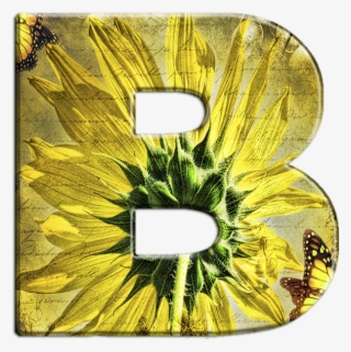 Alfabeto Florido Girassol Png - Sunflower