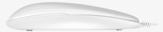 Next - Surfboard