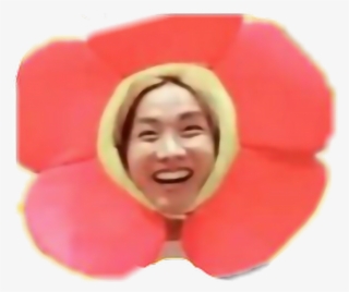 Bts Sticker - Jung Hoseok Sunflower