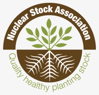 New Nsa Website - Cultural Diversity Quality Standard