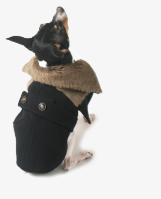 Bentley Cape Coat