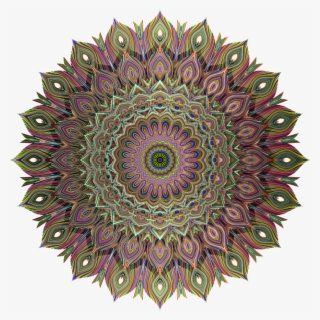 Peacocks Pride - Rainbow