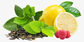Lemonade Clipart Lemon Tea - Green Tea Herbs