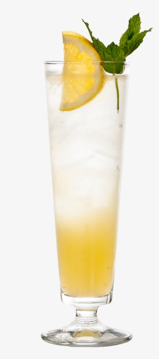 Gin Fizz - Highball