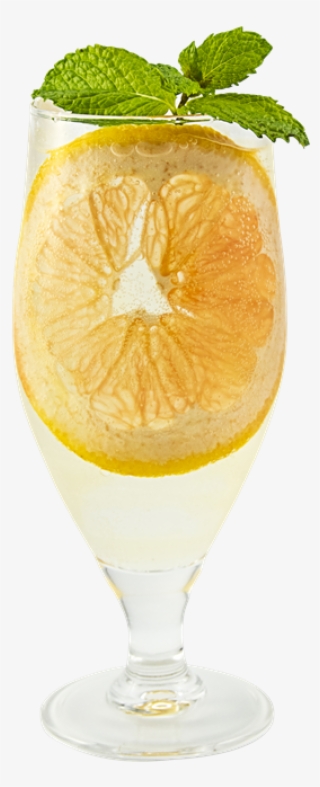 My Account Registration - Fuzzy Navel