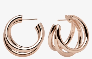 True Rose Gold Earrings - Earring