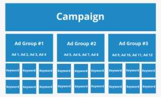 Job Titles Organizational Chart