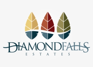 Logo Diamond-falls - Surfing
