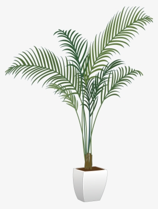 Plants Houseplant Flowerpot Arecaceae Vector Green - Transparent Potted Tree Png