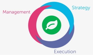 Rainforest Qa Product Structure - Loulou Et Autres Loups