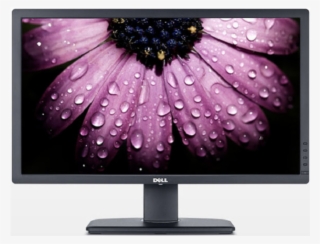 Output Devices Monitor And Printer