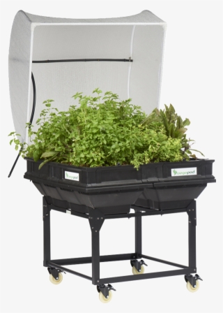 Image - Raised-bed Gardening