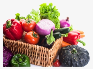 Vegetable Supplies - Food