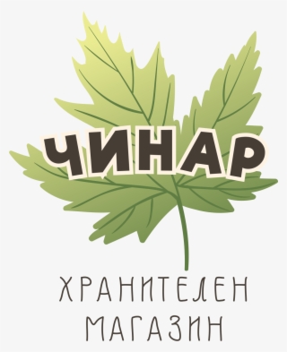 Най Добрата - Silver Maple