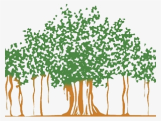 Banyan Tree Clipart Clip Art - Banyan Tree Logo Png