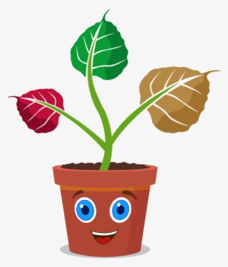 Peepal Has Its Roots In The Wisdom Of The East - Flowerpot