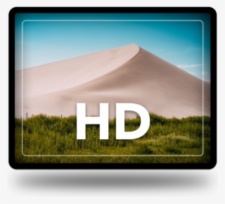 Backgrounds Hd 4 - Grass