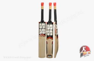 Ss 281 Kashmir Willow Cricket Bat-junior - Ss Josh Cricket Bat Price