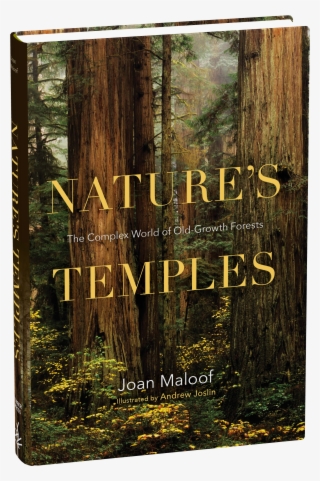 Nature's Temples